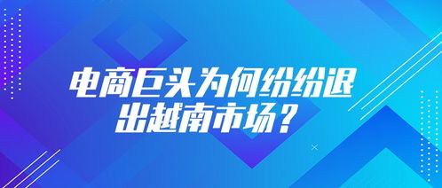 電商巨頭折戟越南 從樂天退市看外來者的本土化困境